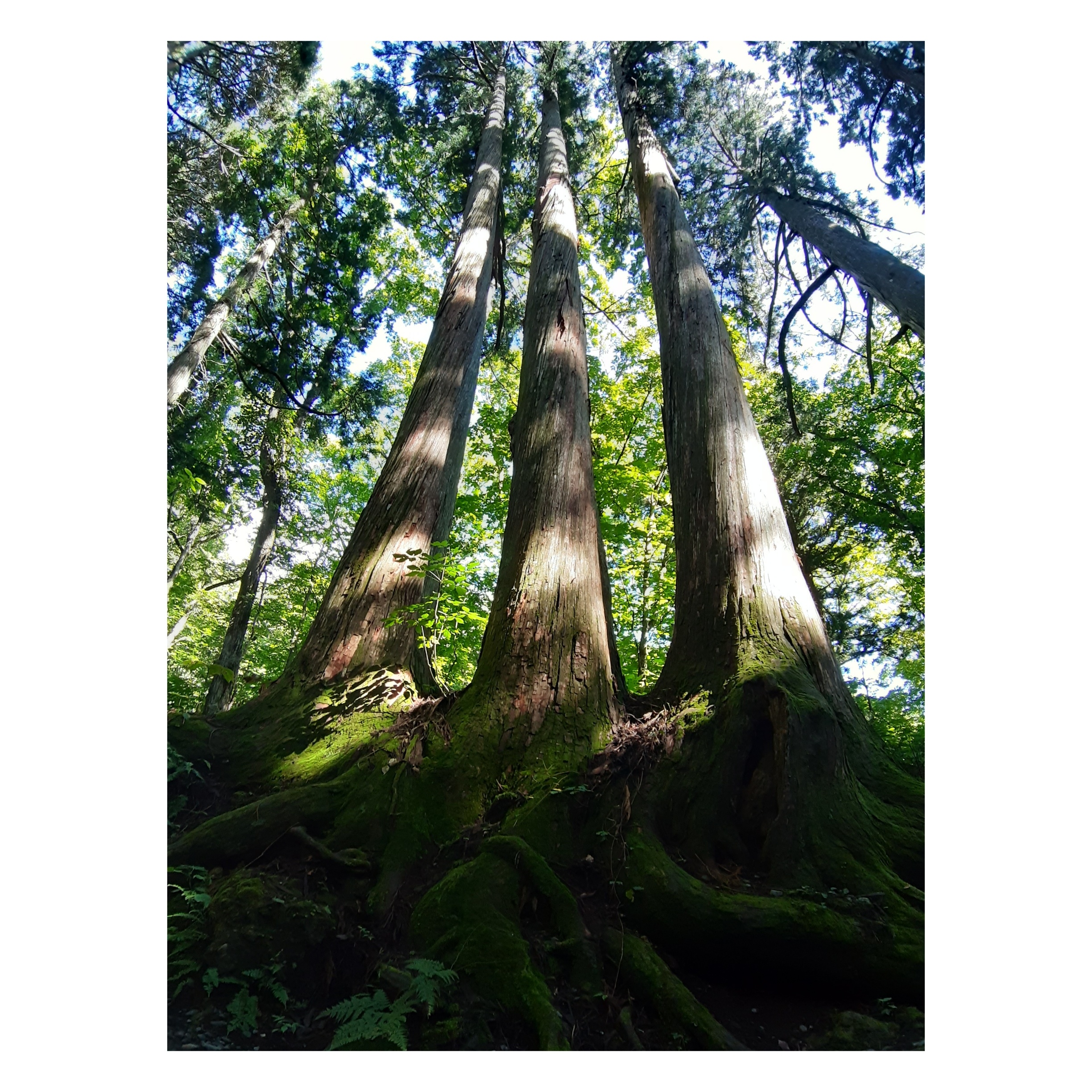 400年の月日とは？