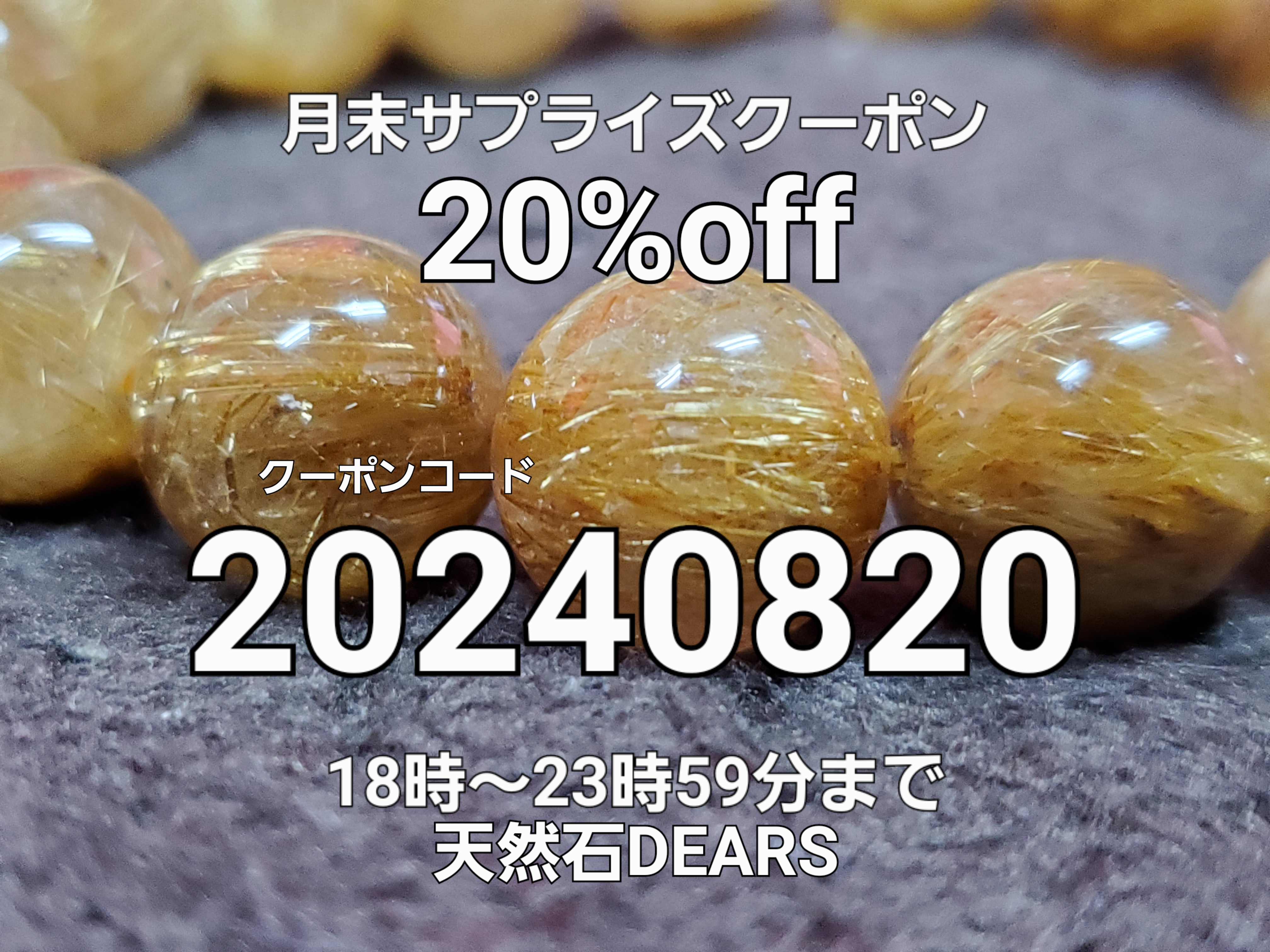 本日限定‼️