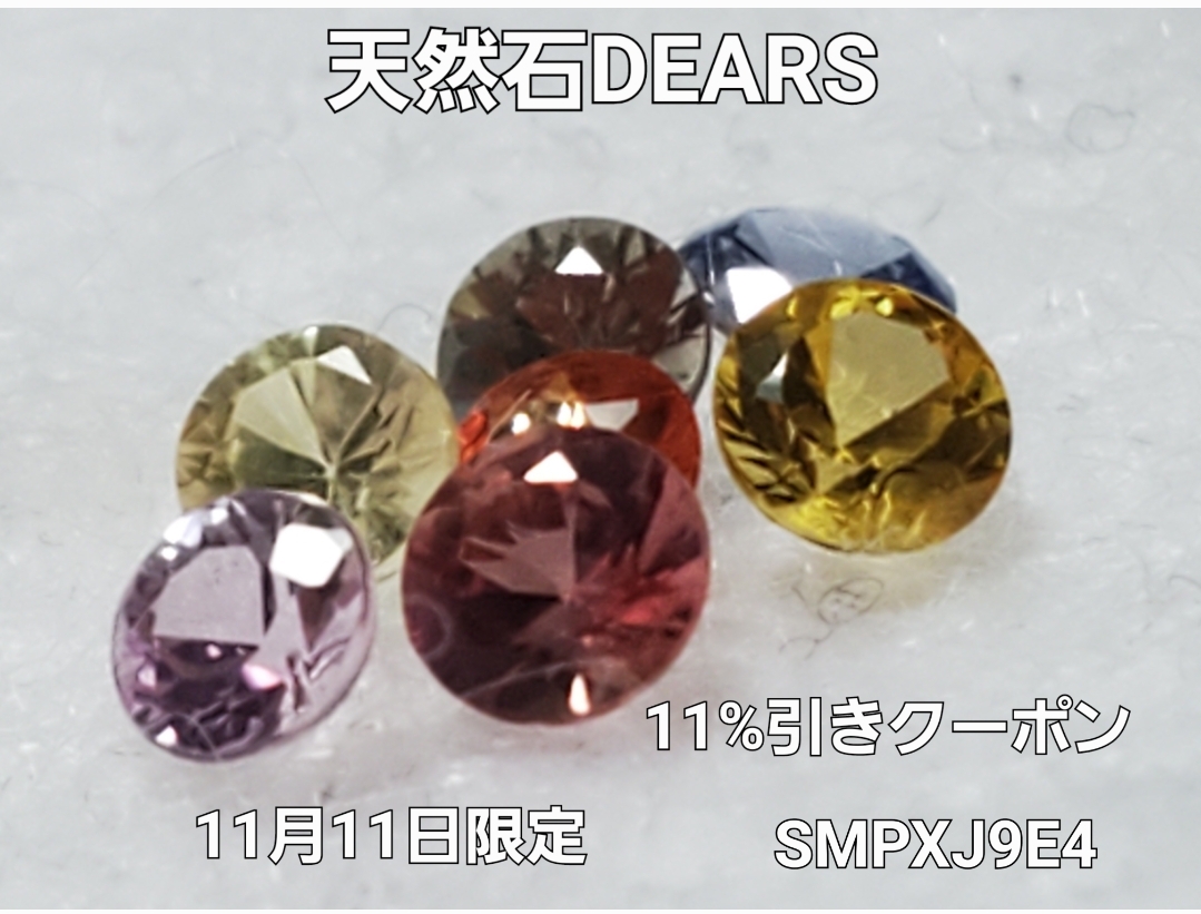 明日、11月11日は…………