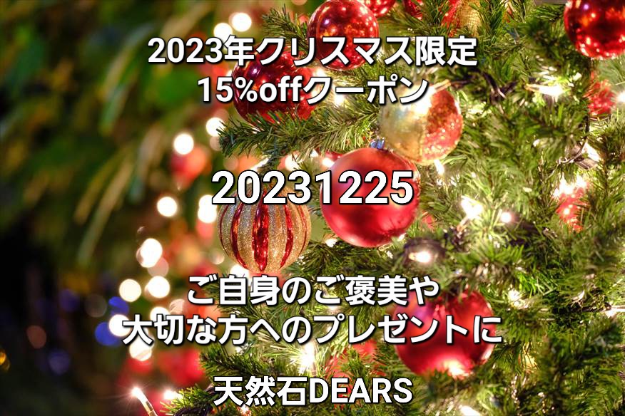 クリスマス限定クーポン
