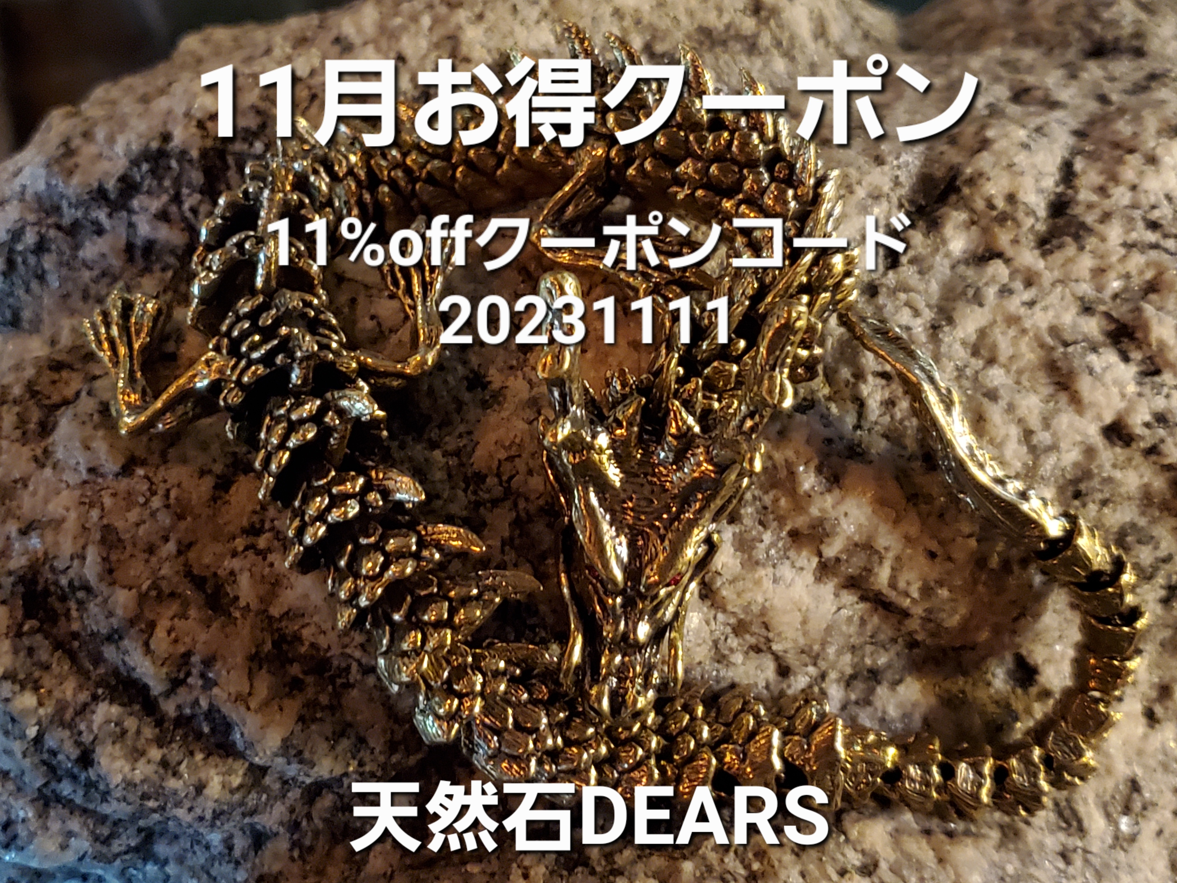 11月クーポン発表