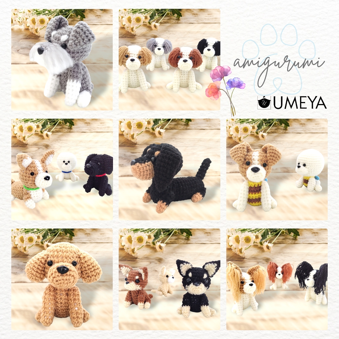 11月16日まで秋の感謝フェア開催中!