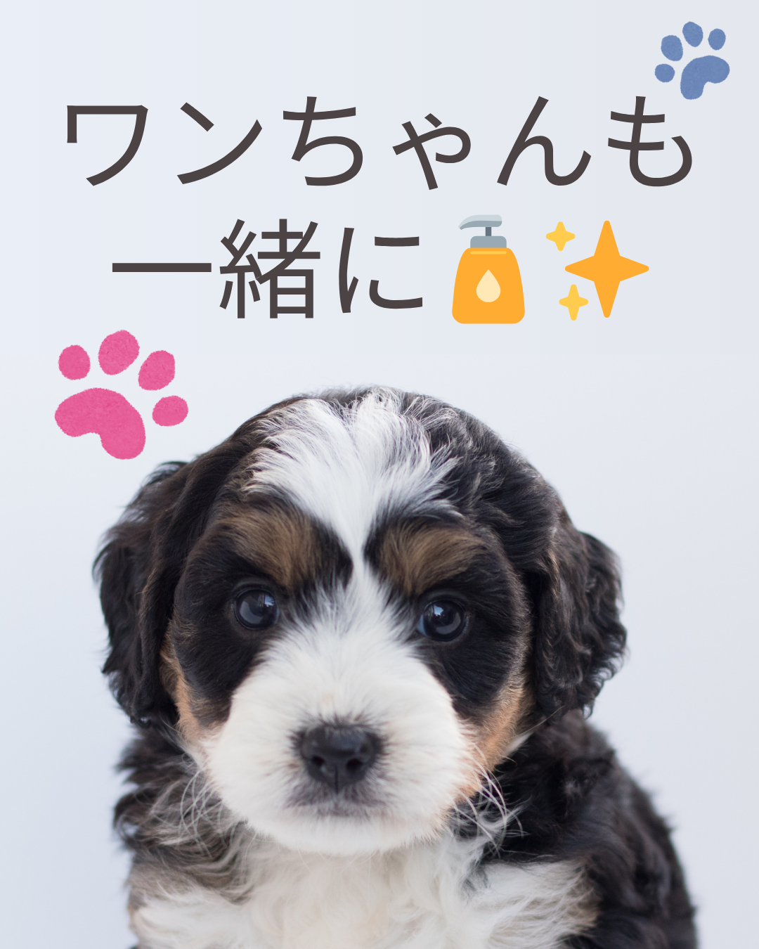 皆様のお役に立てて嬉しいです