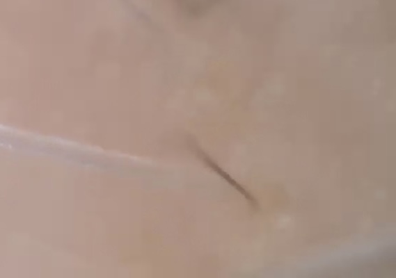 育毛と白髪予防⁉️