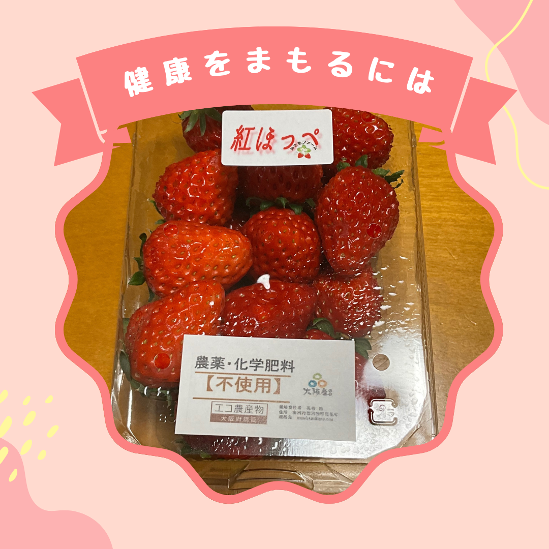 安全こそ全て❗️