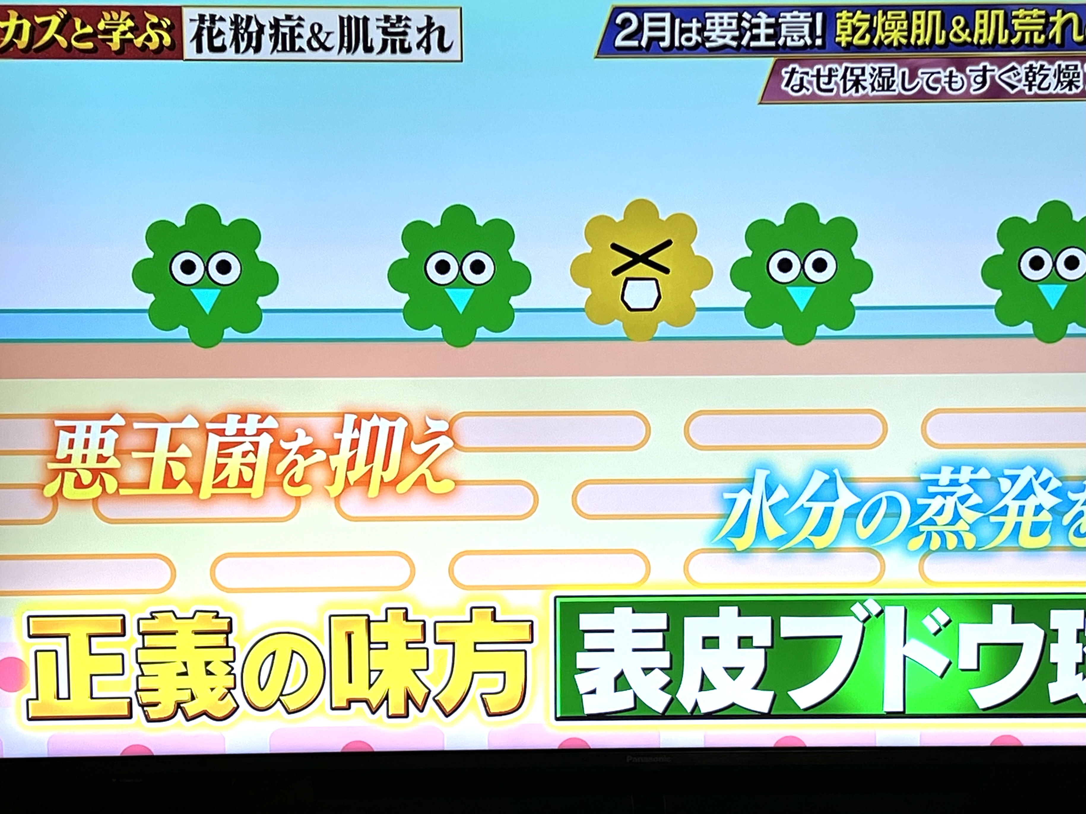 常在菌のバランスに拘って来ました