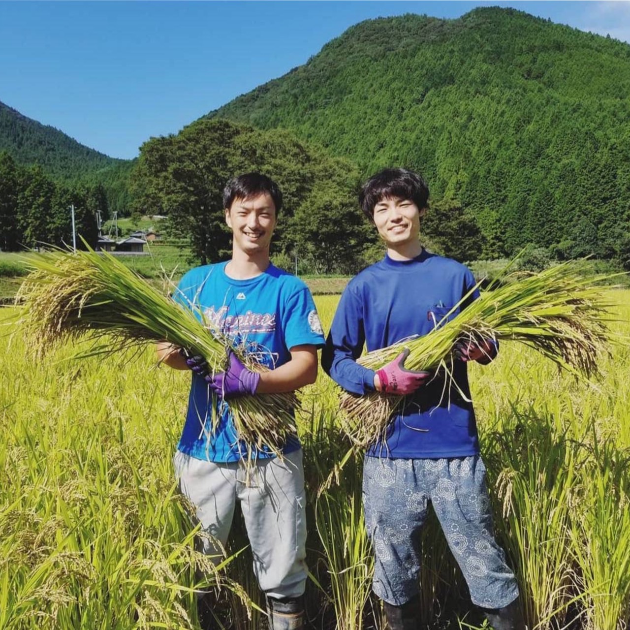 新米を楽しもう！