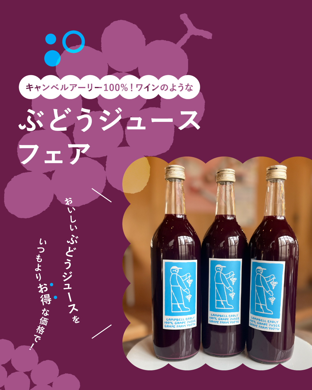 【期間限定】濃〜い◎キャンベルアーリー100%のストレートぶどうジュースが今だけのお得な価格で!