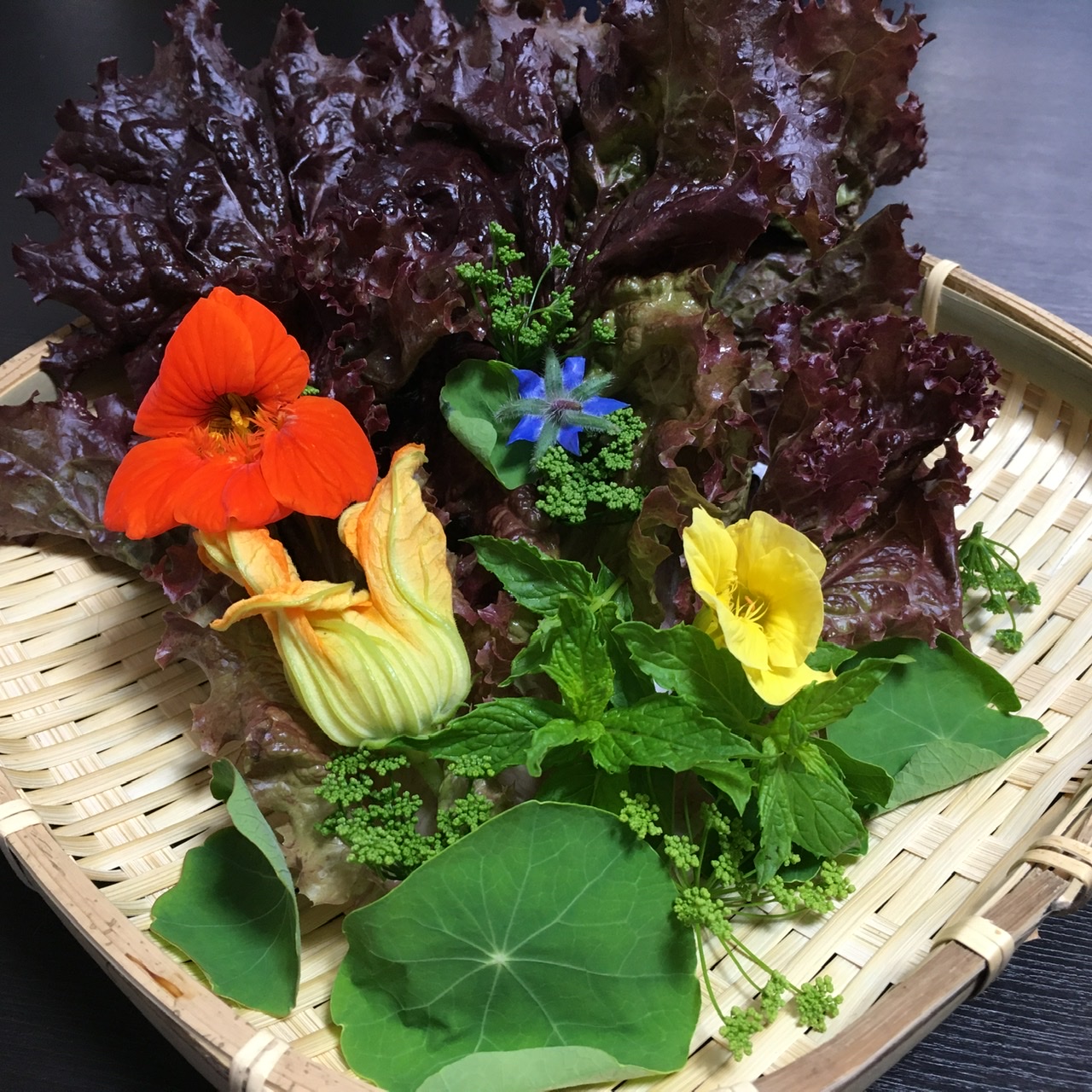 【日常】パケ買いしたお野菜
