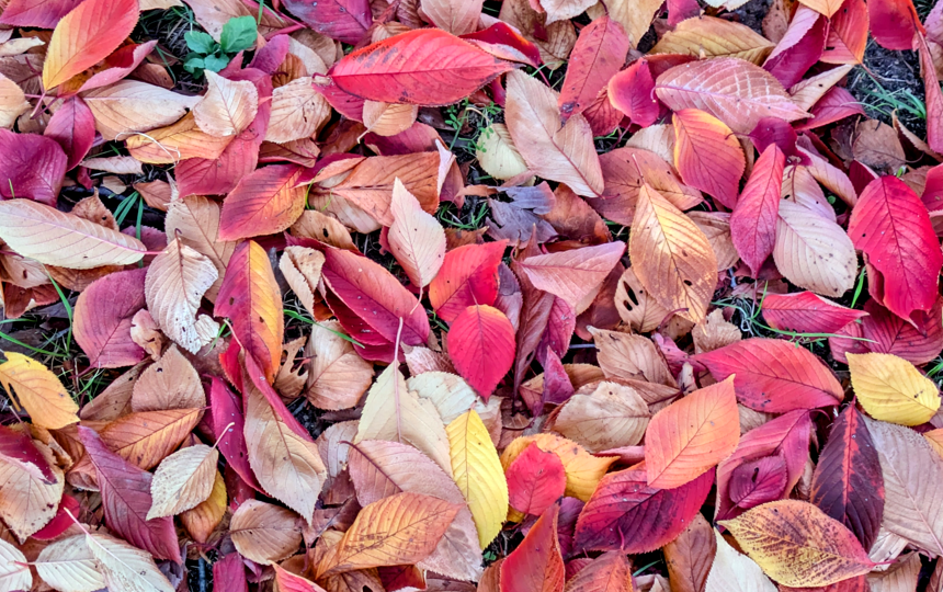 この冬におススメなMD化粧品のクリーム