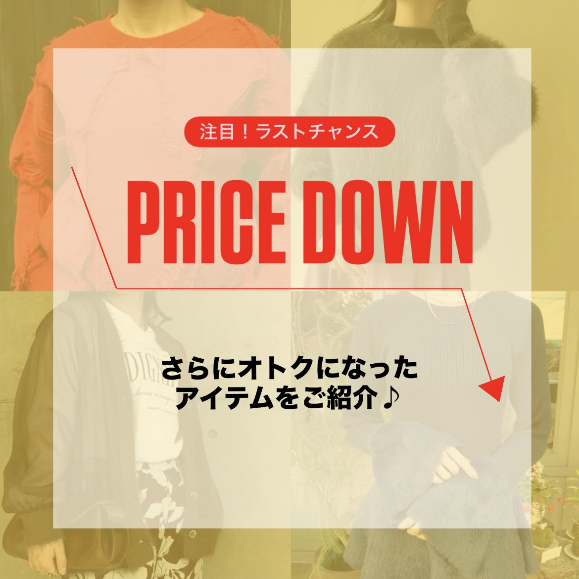 注目‼️さらにお得PRICE DOWNアイテム