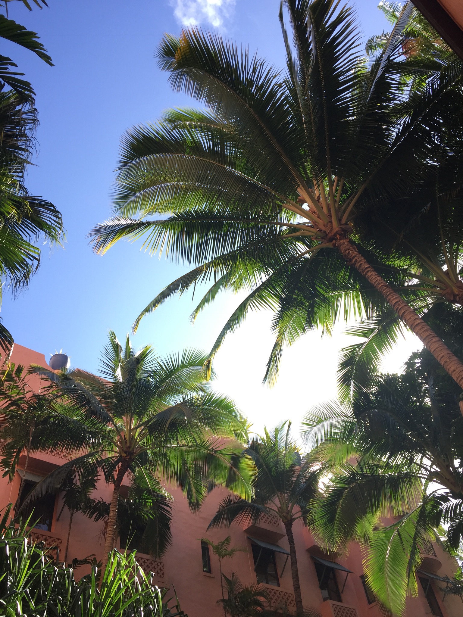 Aloha