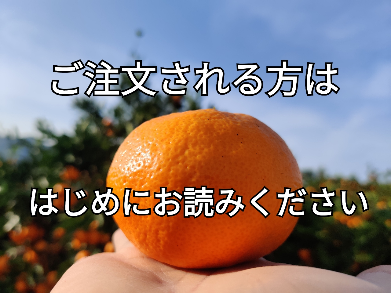 はじめにお読みください