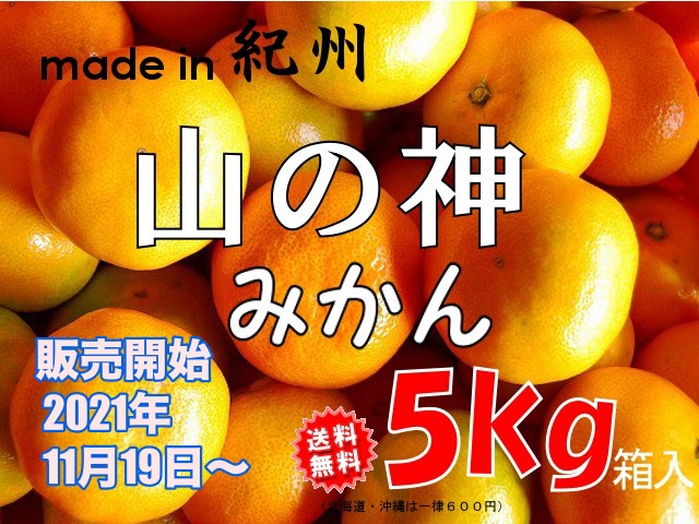 2021年度産　山の神みかんの販売スタート