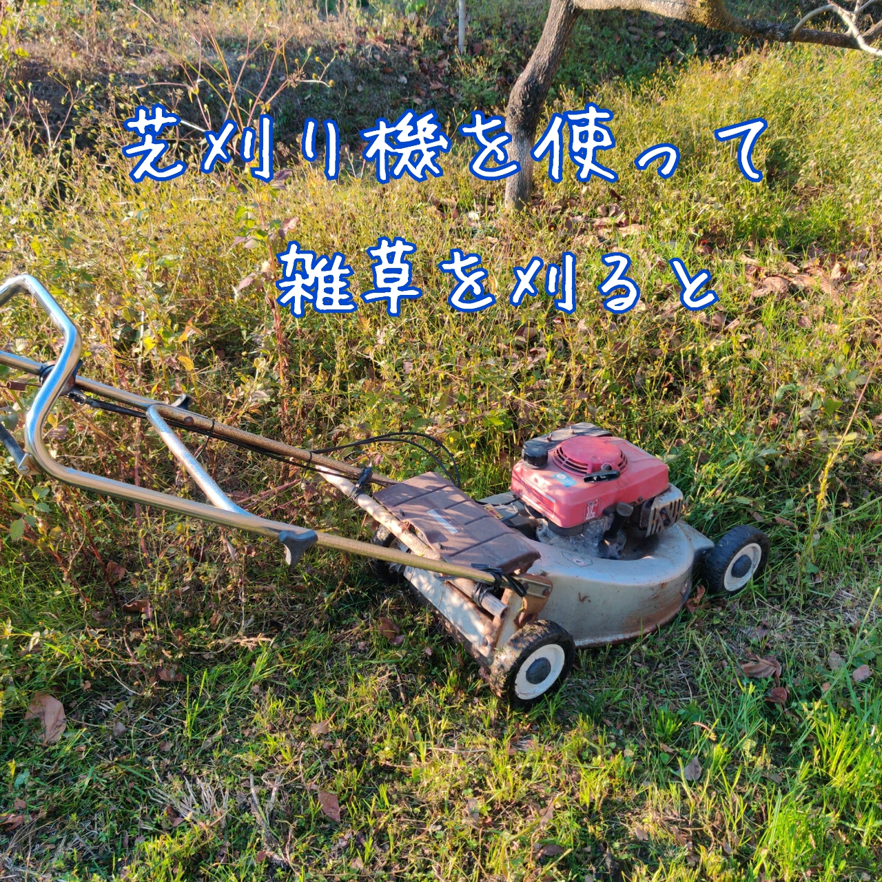 芝刈り機で雑草を刈ってみた！
