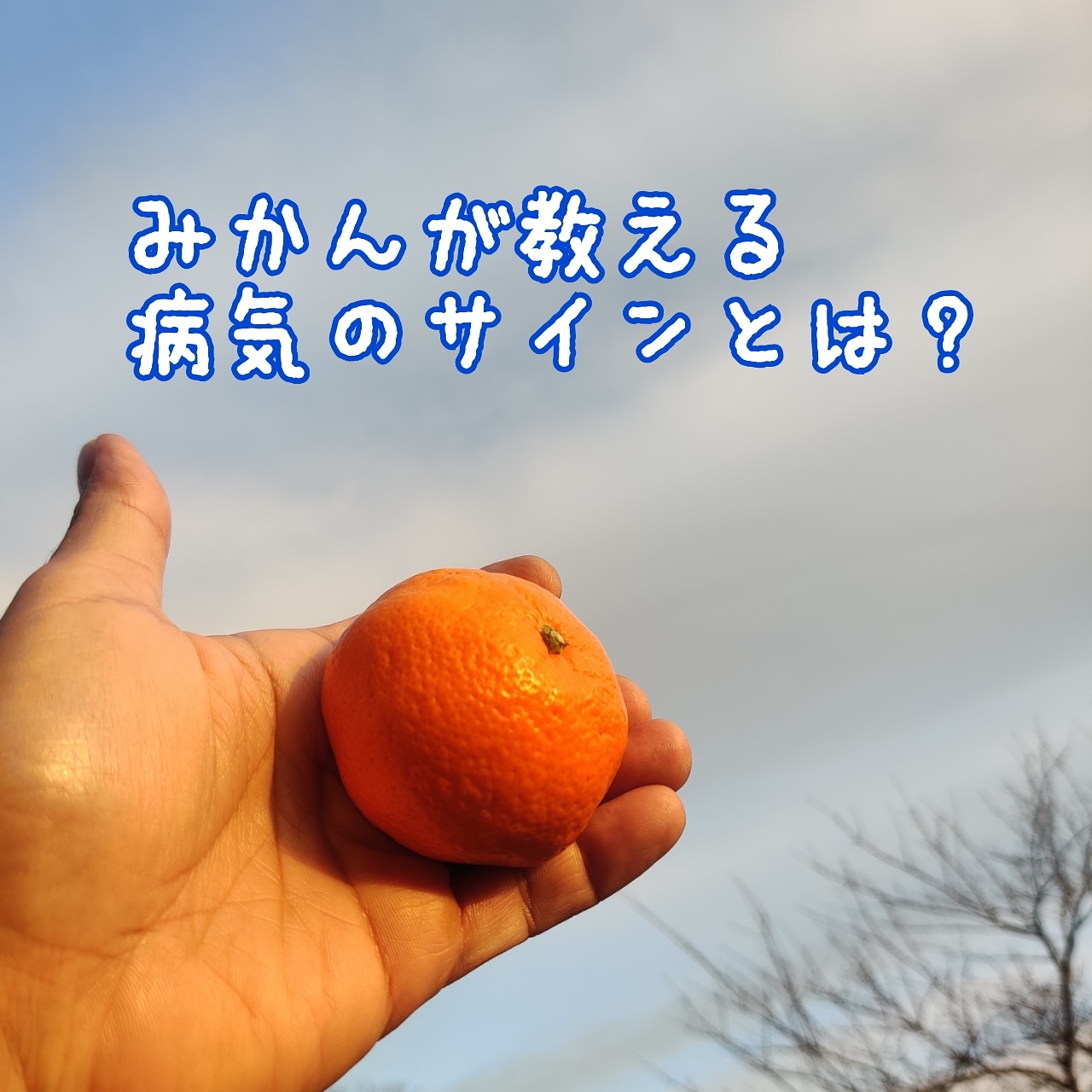 みかんが教えてくれる病気のサインとは？
