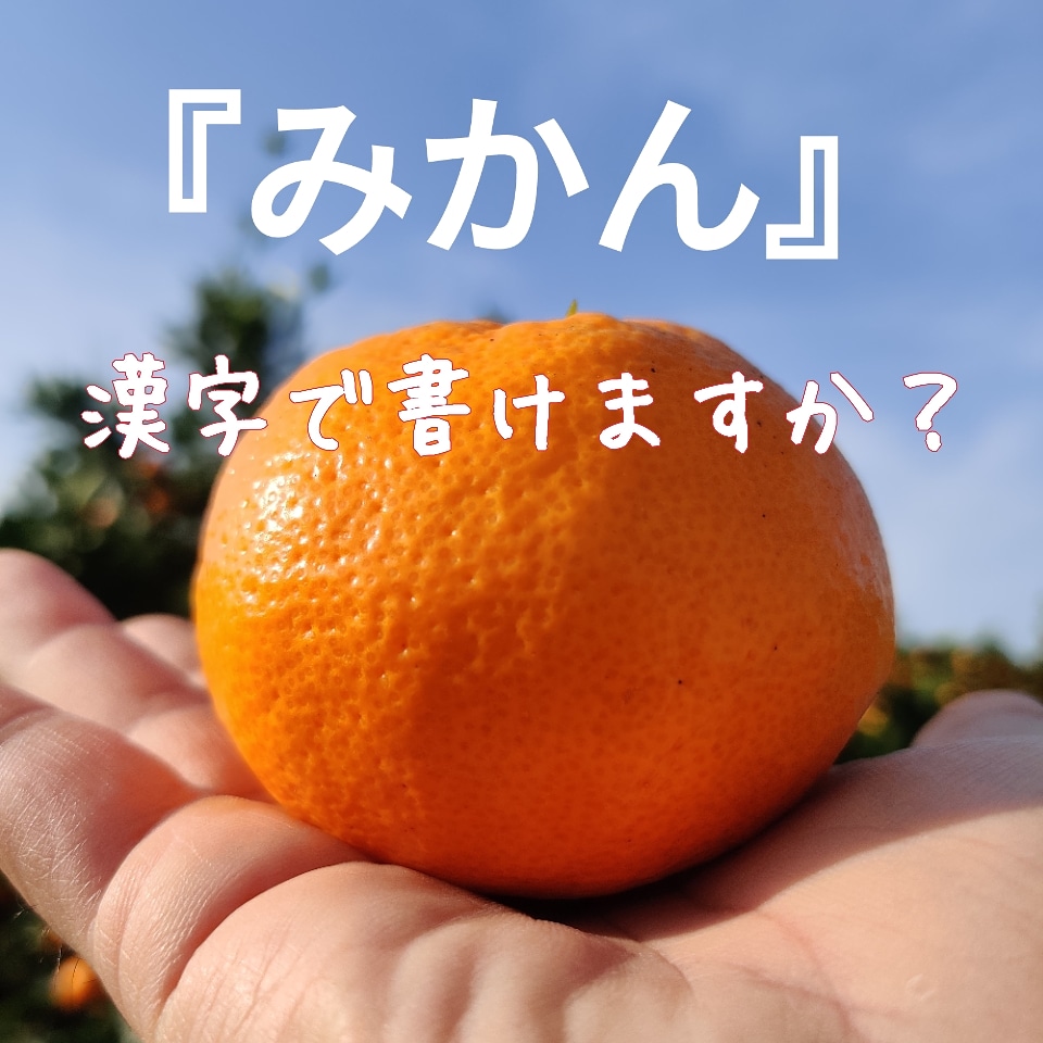 『みかん』漢字で書けますか？
