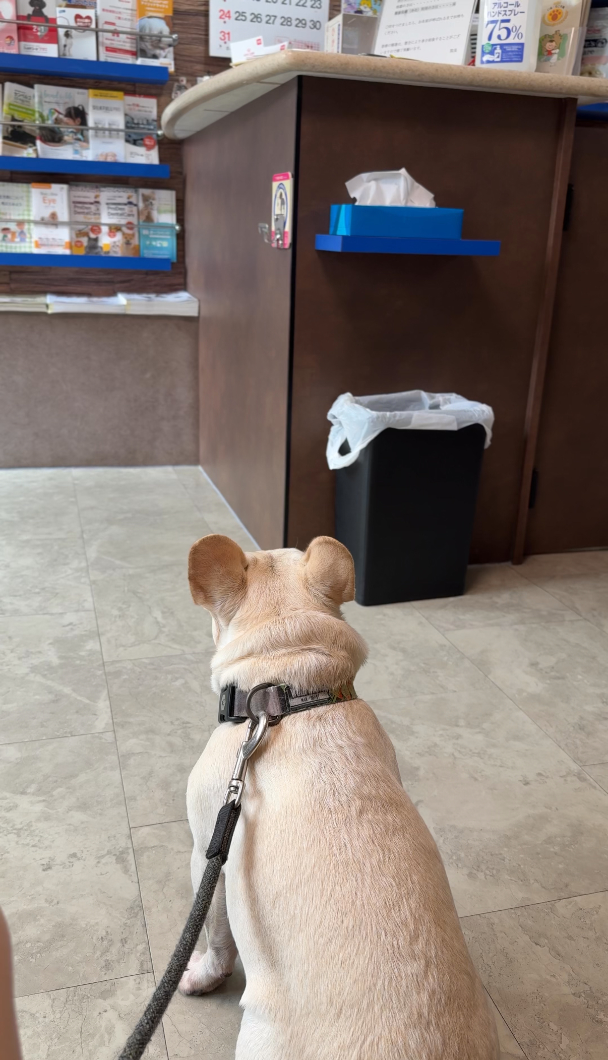 カルテに書かれた “幼稚園が大好き”