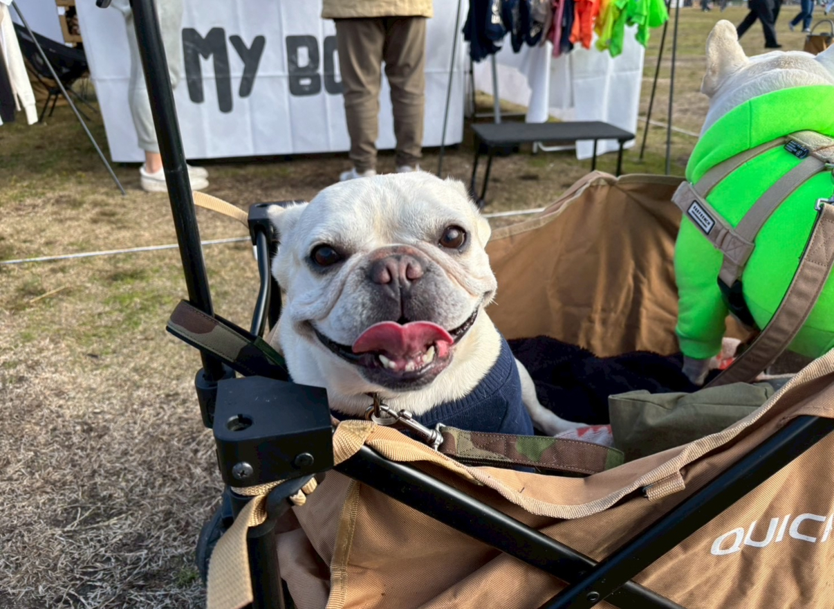 来年も富士山の前で会いましょう!
