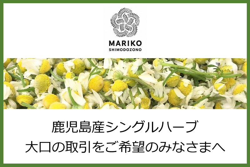 鹿児島産シングルハーブ・大口のお取引を開始しました。