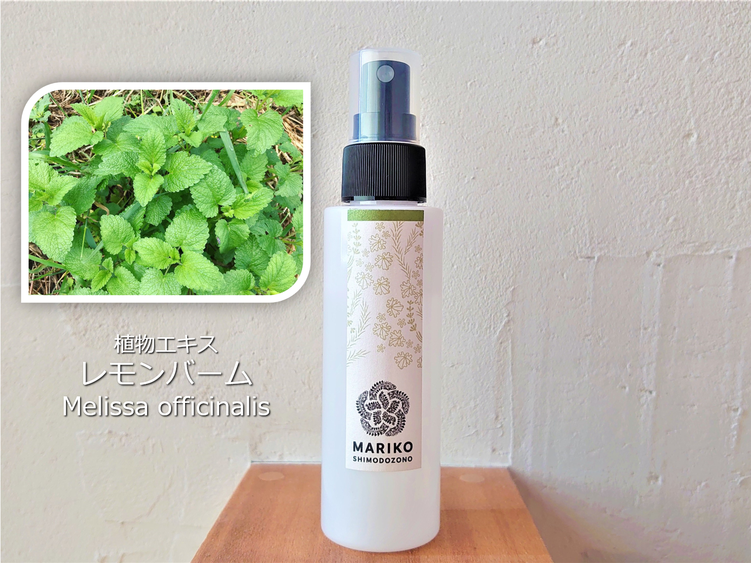 「植物エキス　鹿児島産レモンバーム」の販売を開始しました。