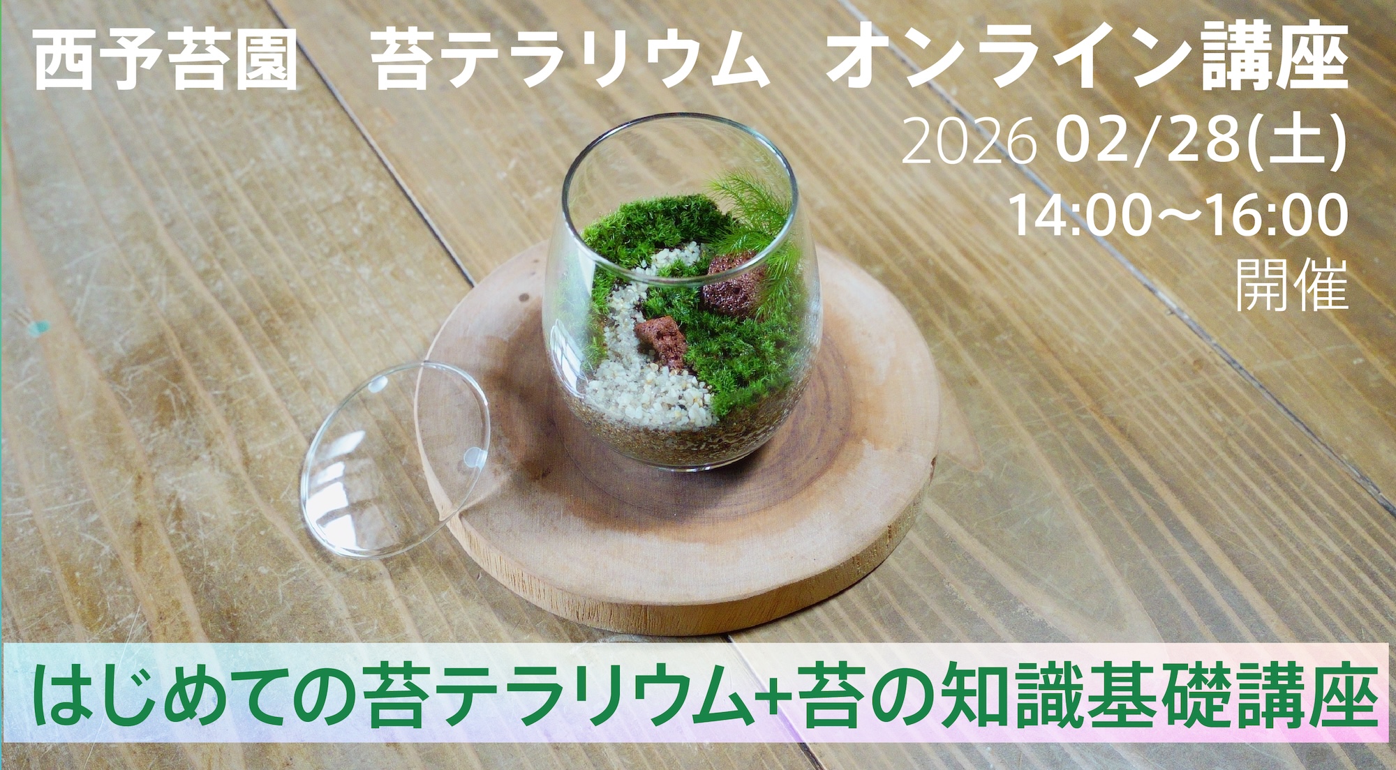 春を先取り!2月28日(土) はじめての苔テラリウム+苔の知識基礎オンライン講座を開催します
