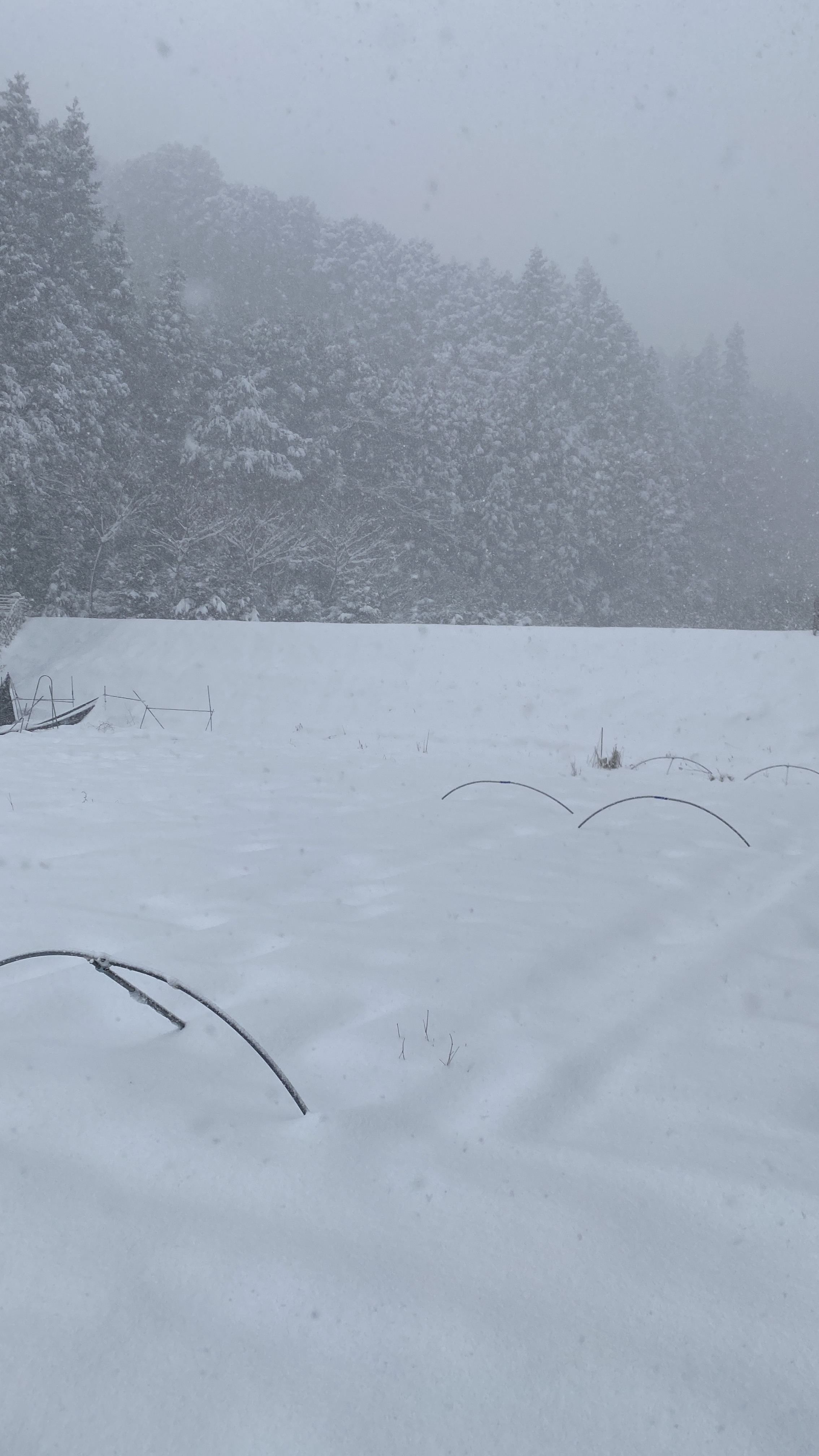 大雪降雪による発送遅延のお知らせ