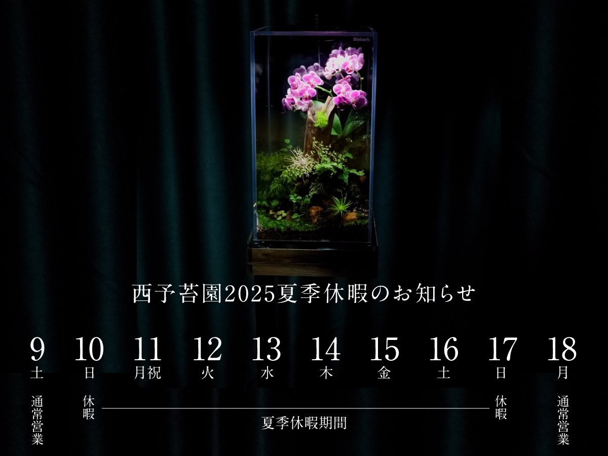 2025年夏季休暇のお知らせ