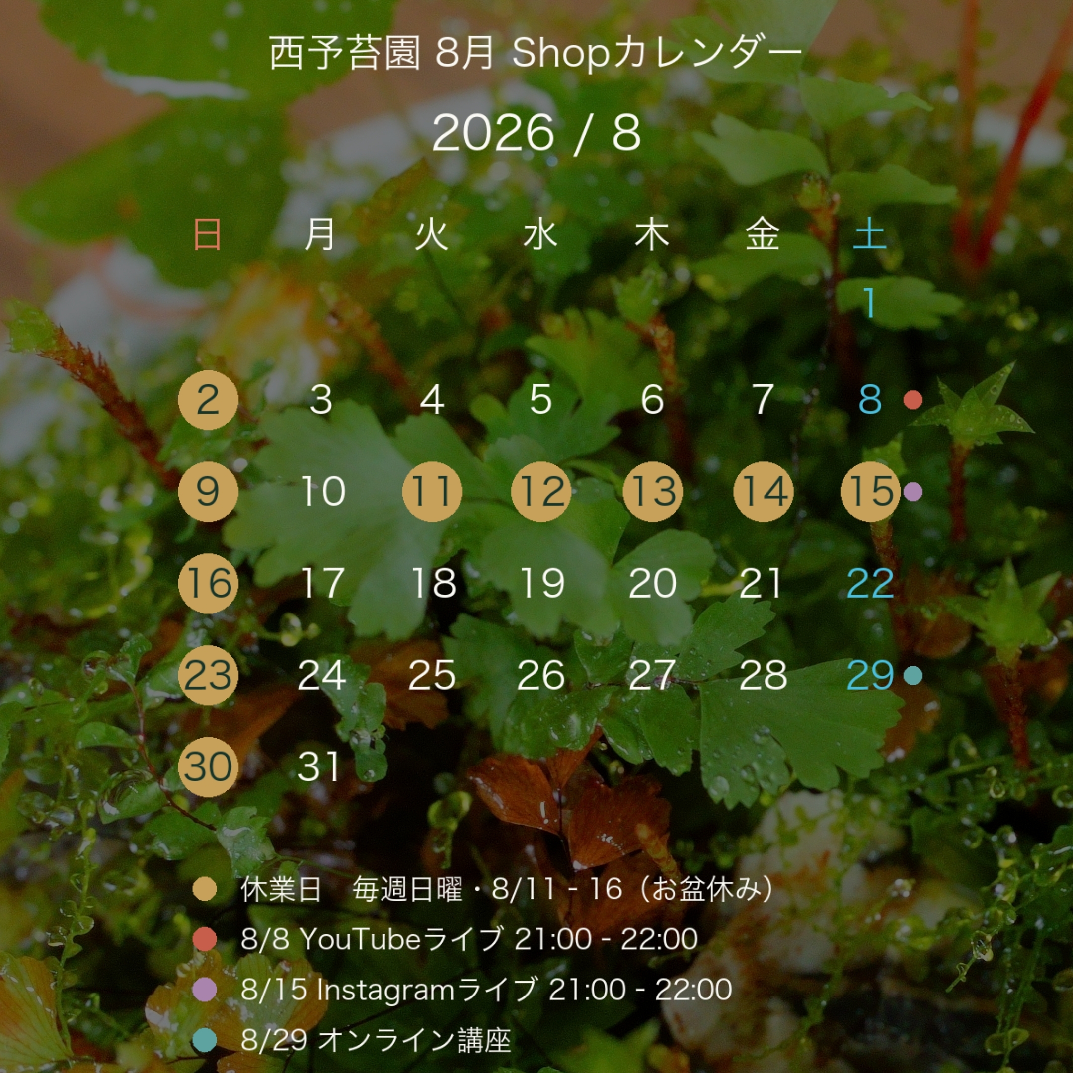 夏季休暇のお知らせ