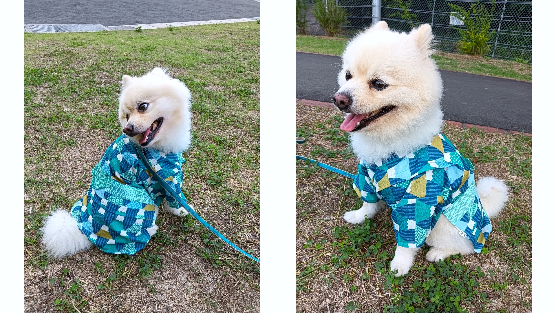 夏が始まりました♪