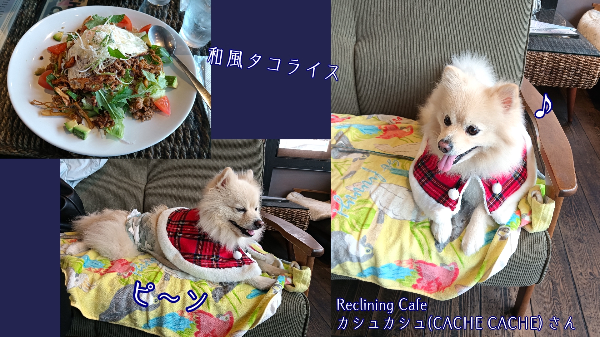 素敵なクリスマスをお過ごしください♪