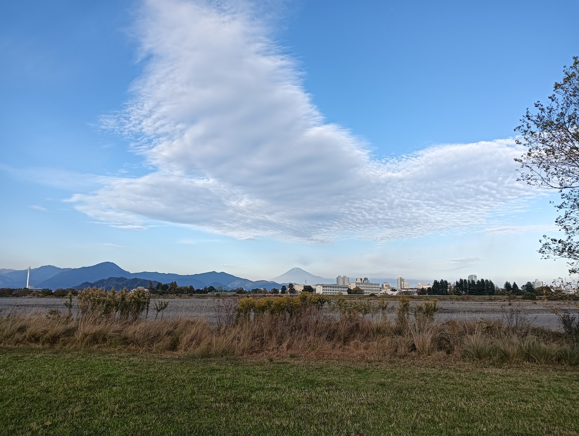 ポッキーと富士山