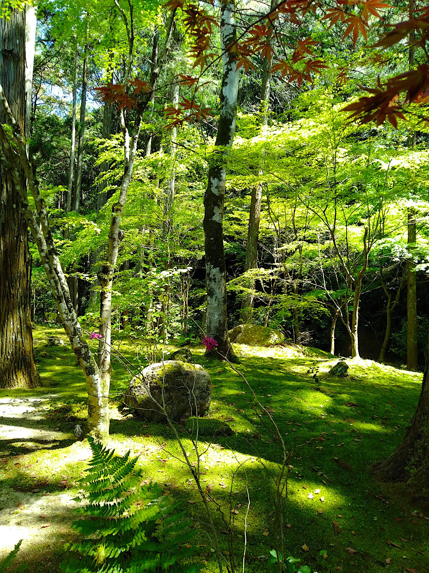 法多山へ。春の散策。