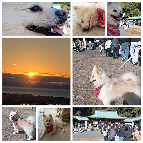 あけましておめでとうございます♪