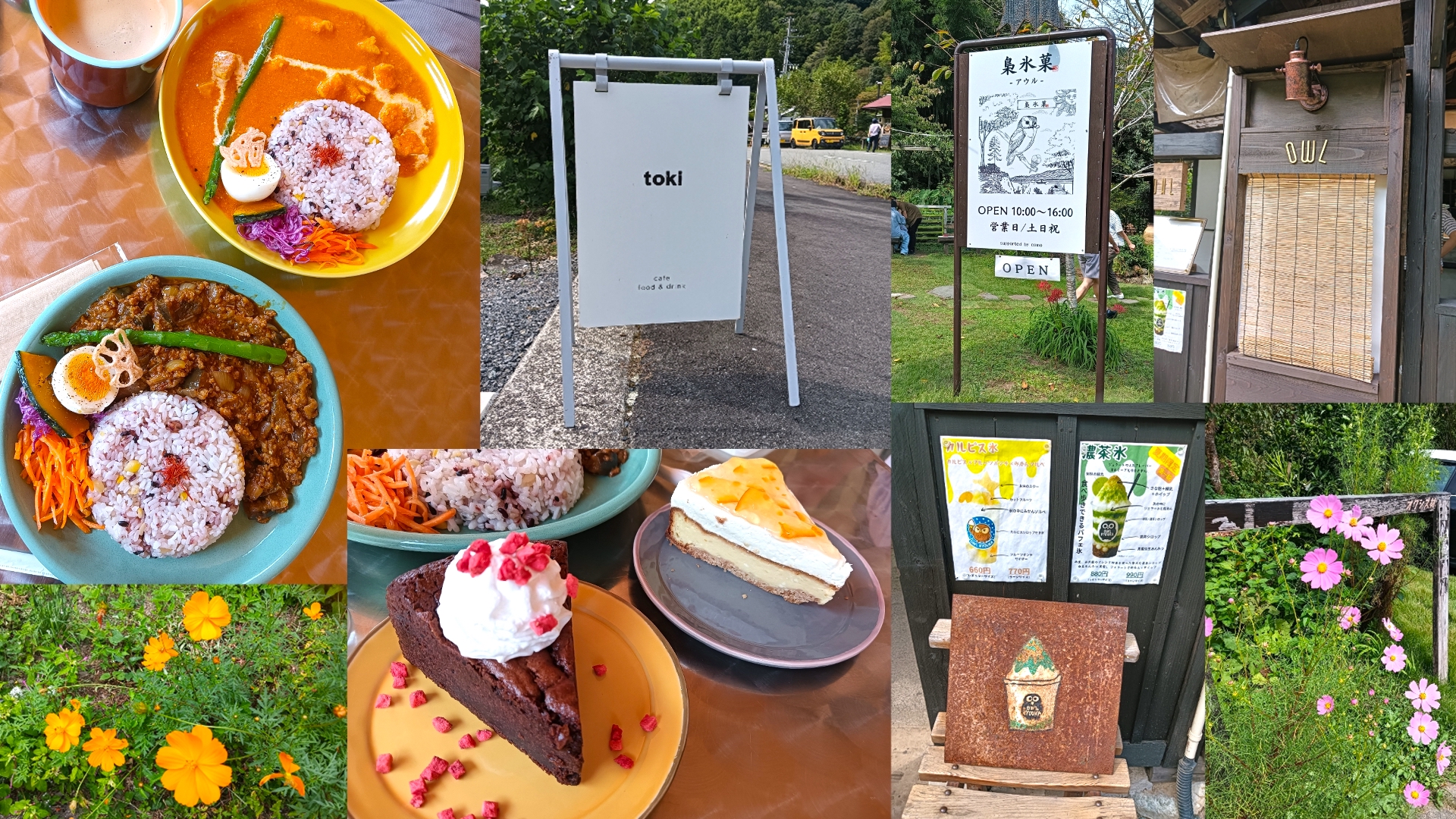 山へ散策に行きました