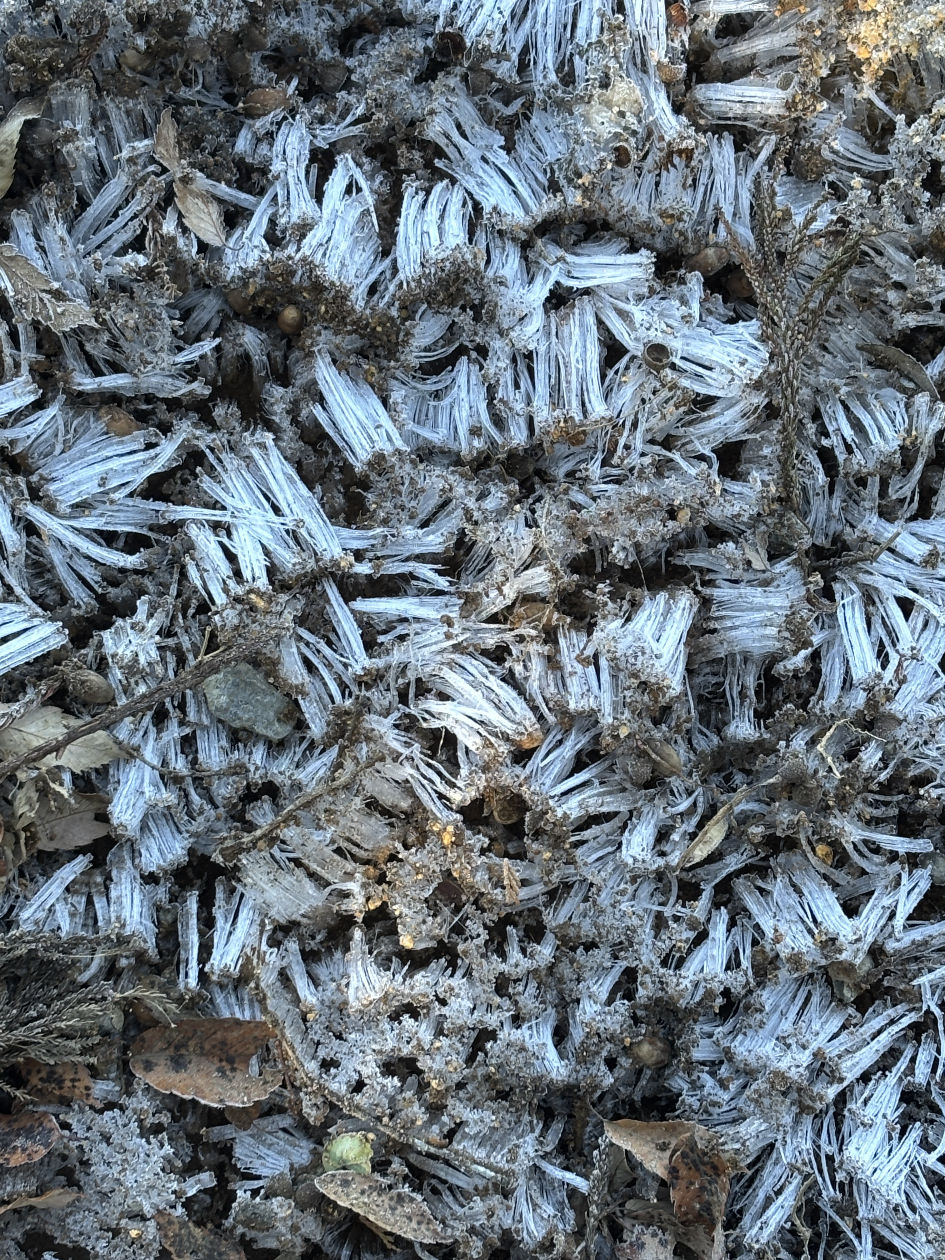 SOSAKUBAG　2026年展示会・出展一覧