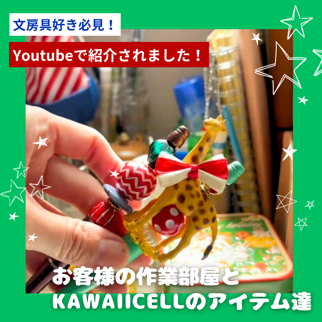 【Youtubeで紹介されました💚🌈】