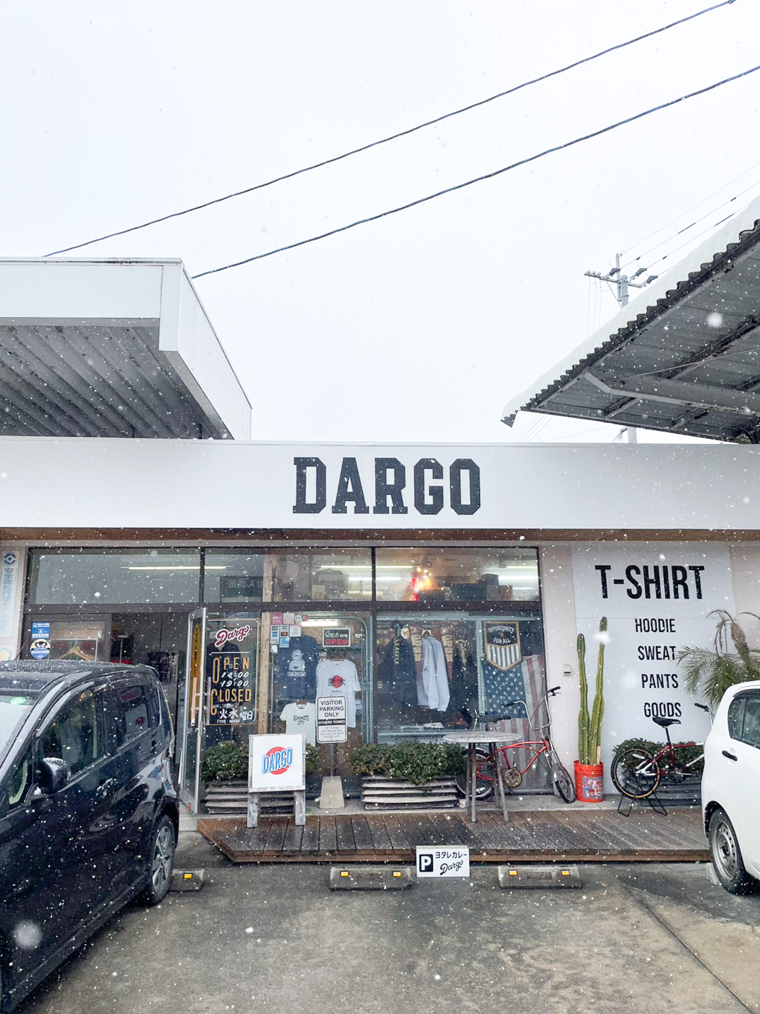 【2/8 熊本市内にも雪が…】