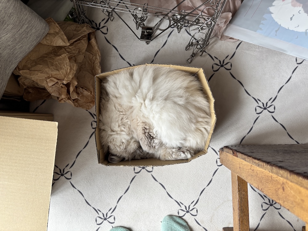 年末年始も営業しています(ゆっくり)