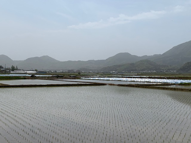 黄砂に吹かれて素敵な土曜日時間。