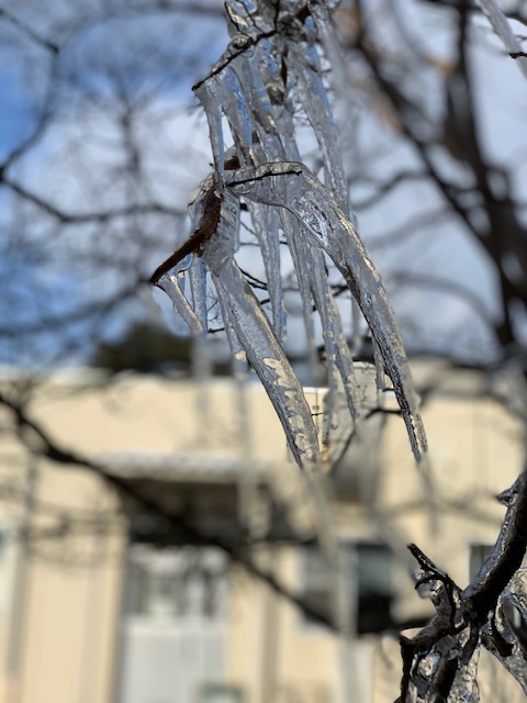 It is shockingly cold today!!!!