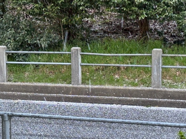 もう嫌になっちゃうぜってほどなんて毎日が早くすぎてしまいそして華やかで心弾む幸せな日々です！！
