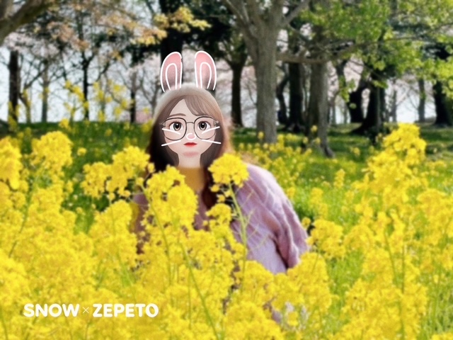 上堰潟公園の桜と菜の花