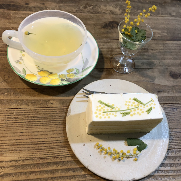 ミモザの黄色に励まされて何を思ったか突然cooking教室やお花のレッスンに通ったりな2月の週末！