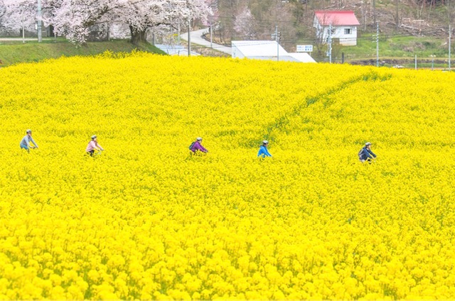 新潟でラストのホワイトデイな週末　①ビッテ〜ぷちでじゅ〜3人で映画見たりカフェ巡り〜〜