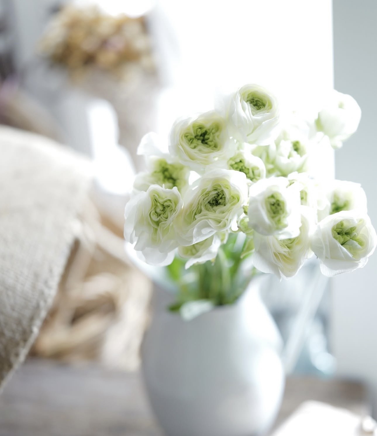 HAPPY WEDDINGな新潟で出会った宝物たちのお話　これ神回ね！！