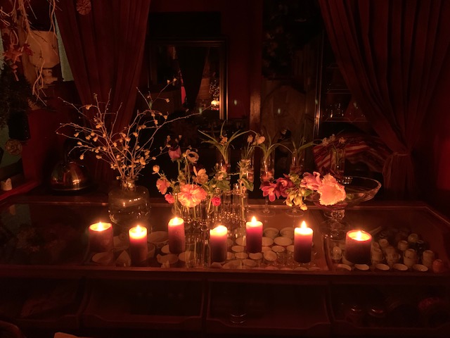 COVID-19をぶっぱなせ！！２度と出会えないようなお花たちの風景