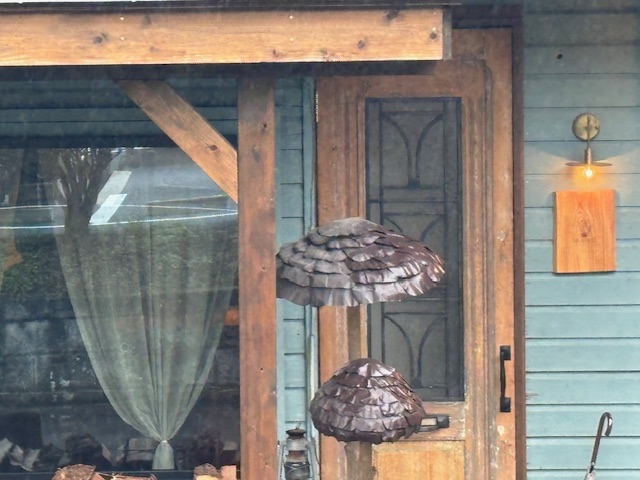 霧の中　軽井沢MANOで🍄きのこの魔法にかかった昼下がり②🍄🍄