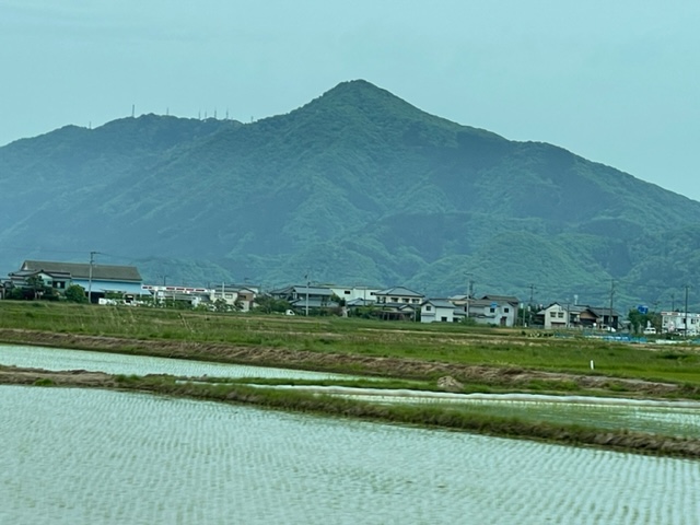 ご褒美のような佐野元春ライブツアー　in 新潟　とかたけのことか芍薬とかの週末です！