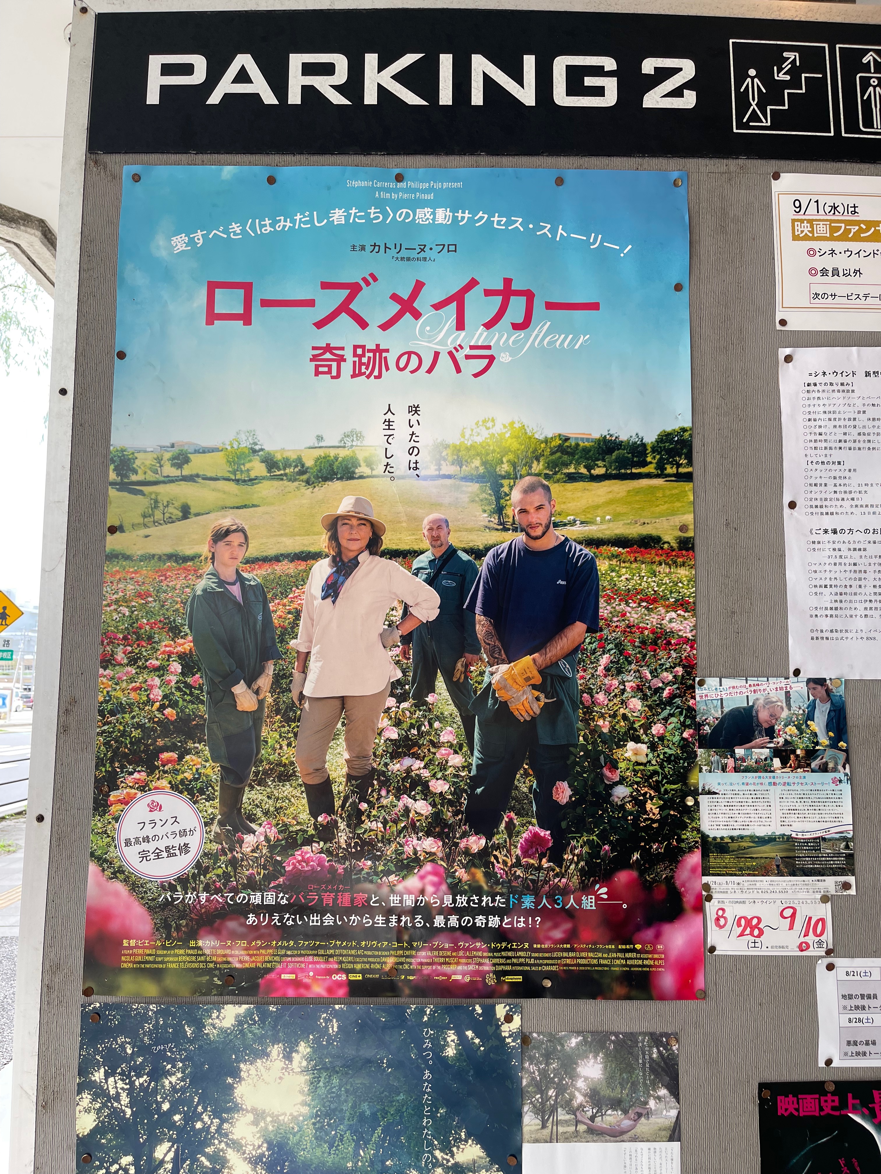 楽しかったね〜夏休み　現実は非常にチビしいけど頑張るしかないよね。